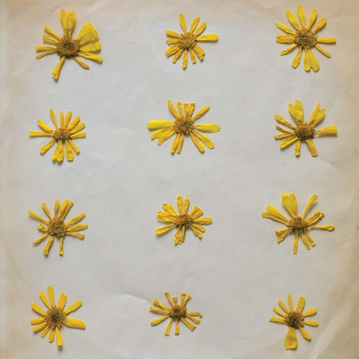 Molochs - Flowers In The Spring (Tape)  - (MC (analog))