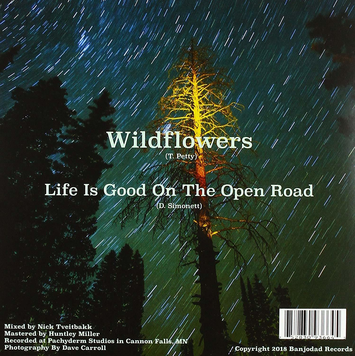 (Vinyl) Trampled - Single) - By Wildflowers (Vinyl Turtles
