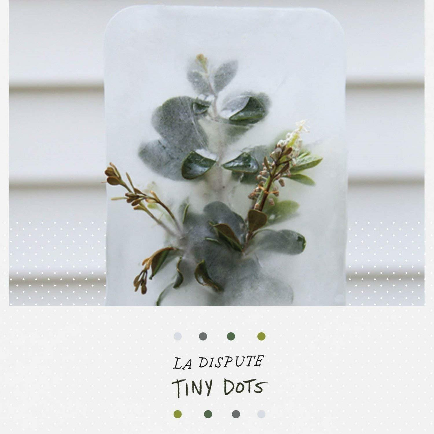 La Dispute - Tiny Dots  - (DVD)