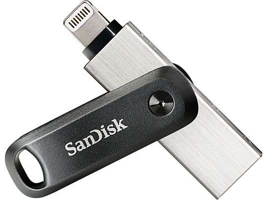 SANDISK iXpand Go - Clé USB  (256 GB, Noir/Argent)