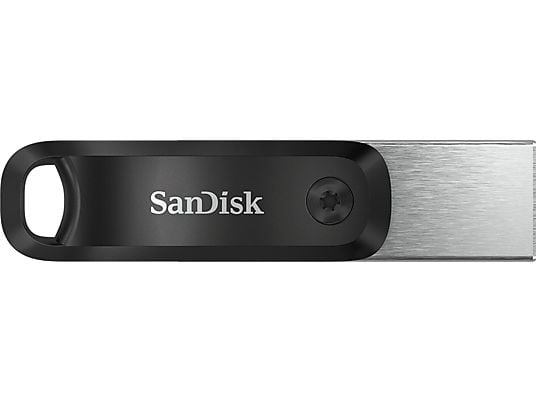 SANDISK iXpand Go - USB-Stick  (256 GB, Schwarz/Silber)