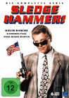 Sledge Hammer: Die komplette Serie [DVD]