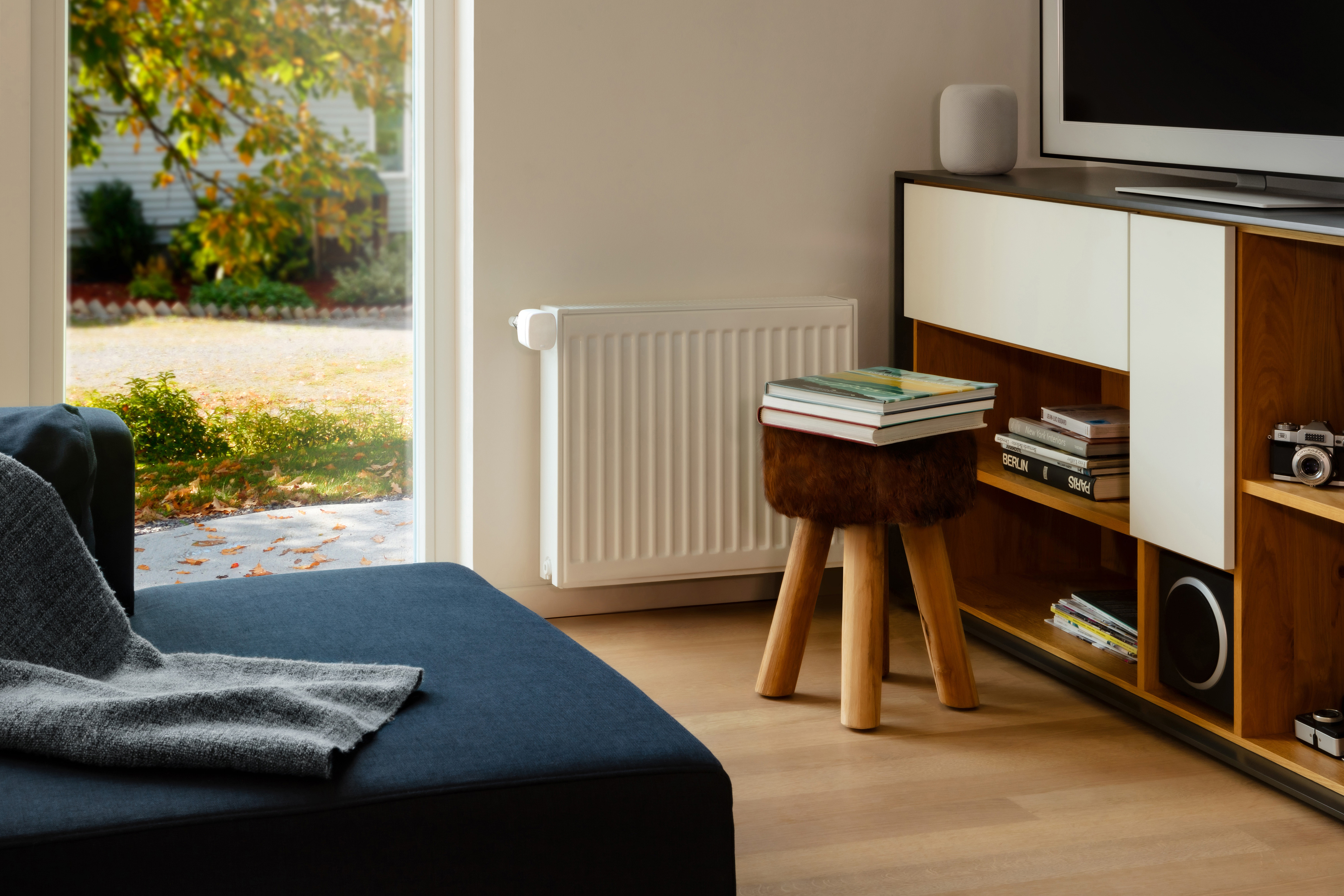 Wohnzimmer-Szene. Blaues Sofa, Holzschemel mit Büchern, Heizkörper und Fensterblick.