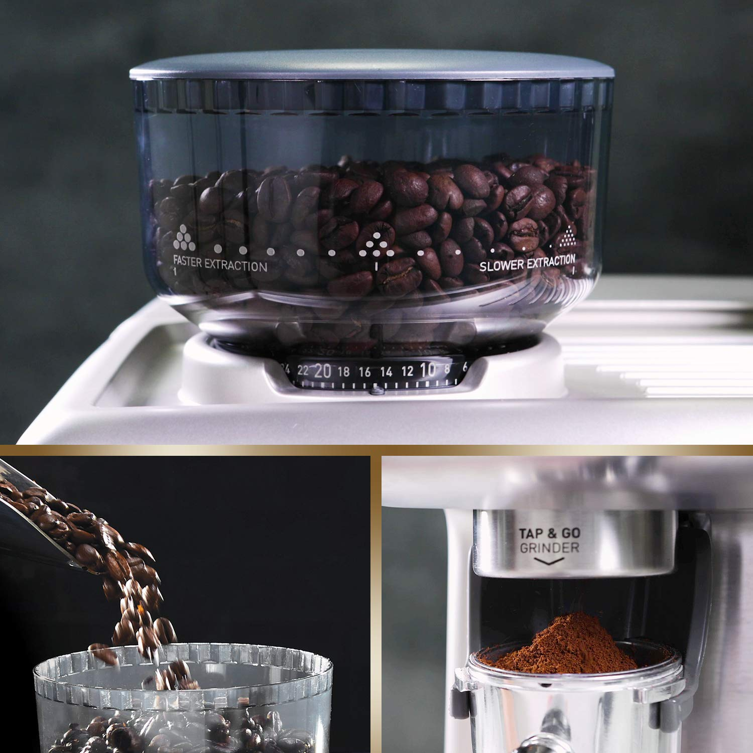 Molinillo de granos de café con recipiente transparente de granos y dial para ajustar el tamaño del molido.