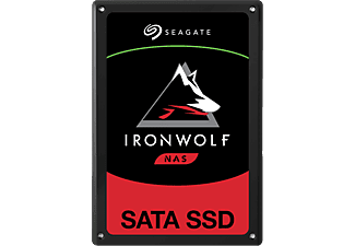 SEAGATE IronWolf 110 - Disco rigido (SSD, 480 GB, Nero)