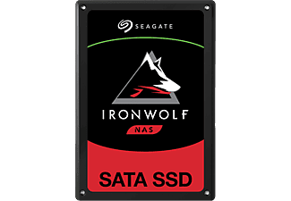 SEAGATE IronWolf 110 - Festplatte (SSD, 480 GB, Schwarz)