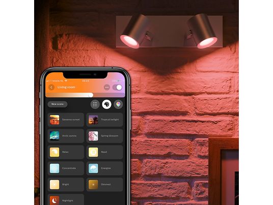PHILIPS HUE Hue White and Color Ambiance Argenta - Deckenlampe (Aluminium)
