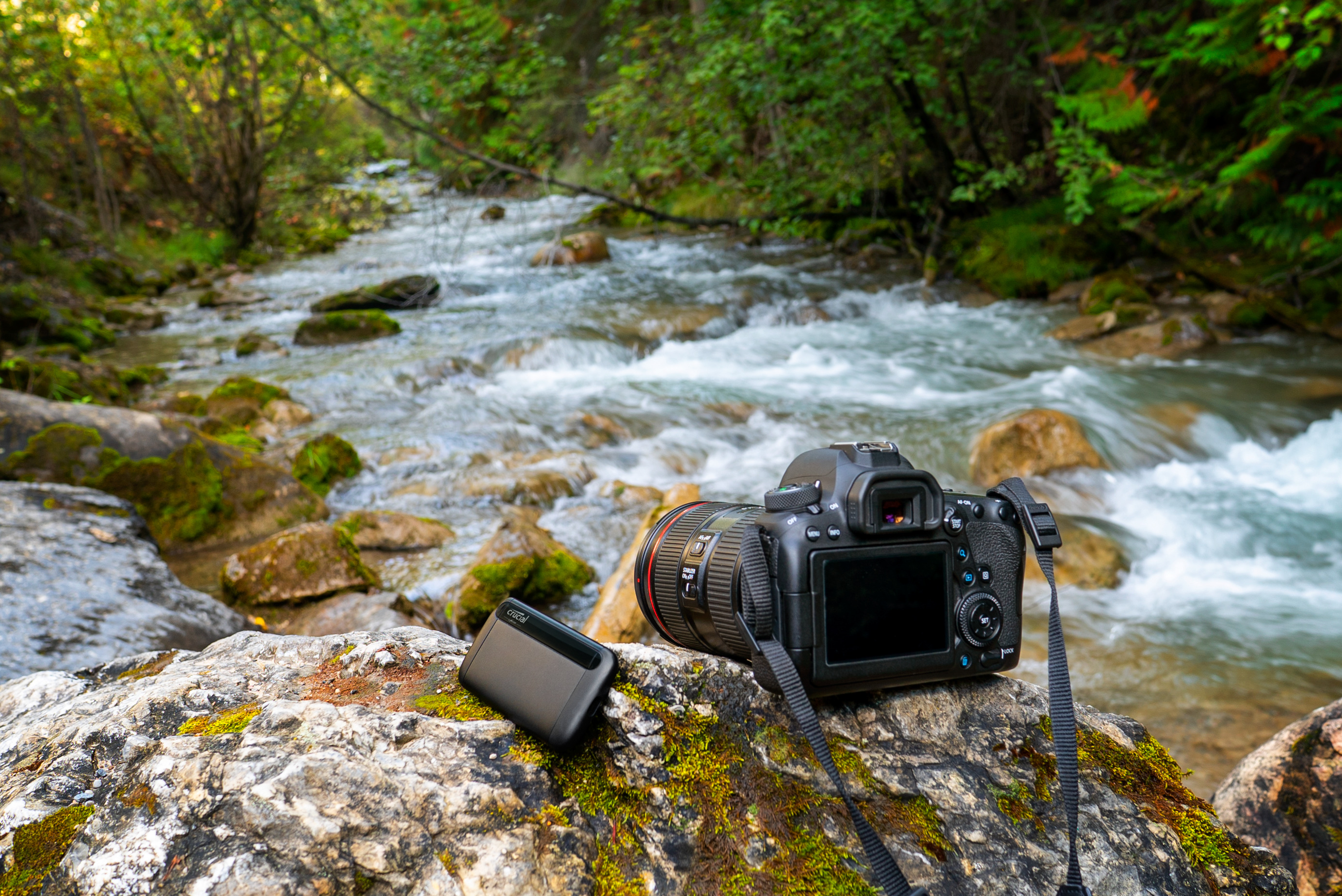Kamera und Festplatte liegen auf einem moosigen Felsen. Im Hintergrund fließt ein Fluss, umgeben von grünen Bäumen.