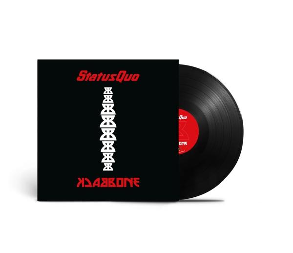 Schwarzes Vinyl-Schallplatten-Cover mit weißem Text und Design, mit einer Schallplatte an der Seite.