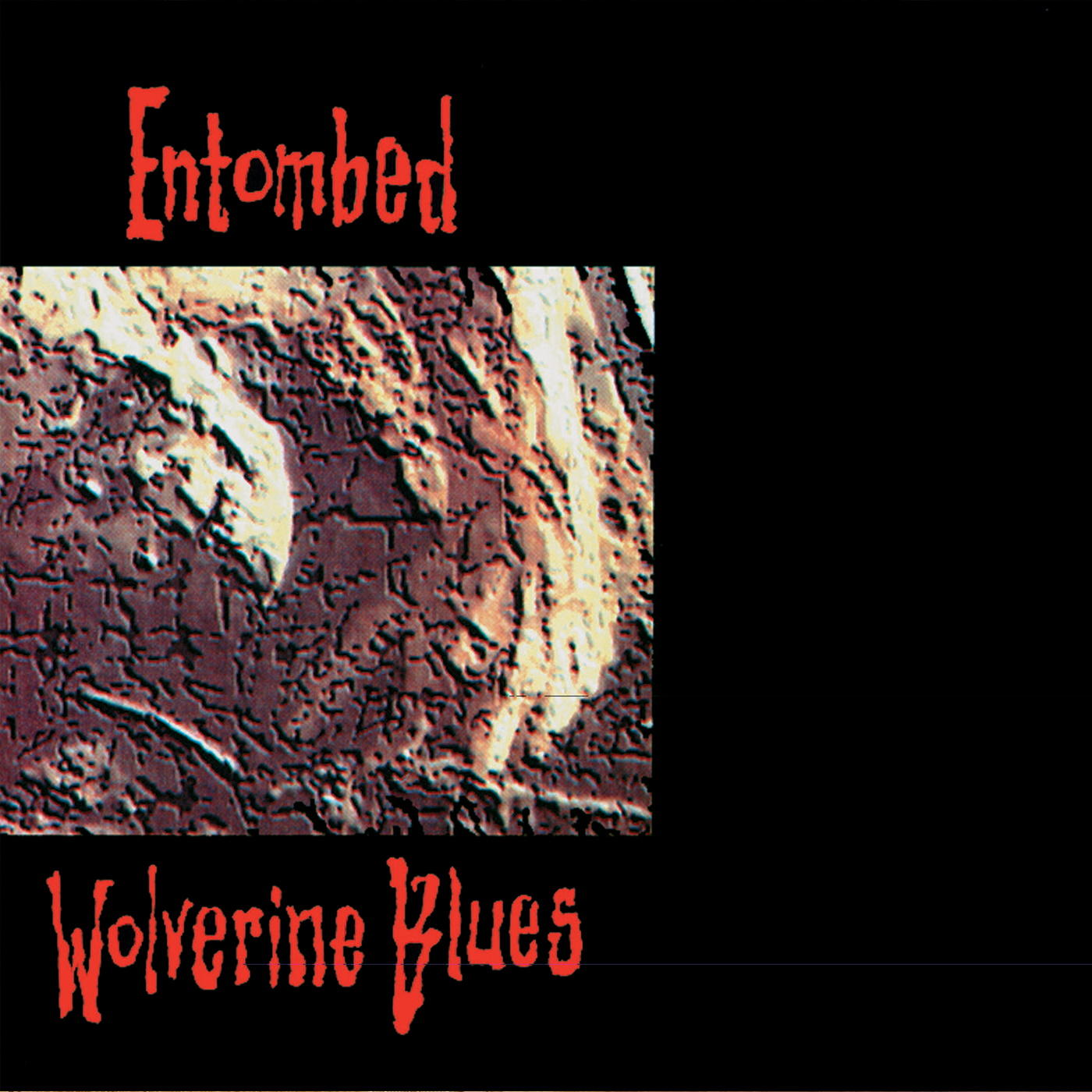 Albumcover für Entombed's Wolverine Blues. Brauner, strukturierter Hintergrund mit rotem Text.