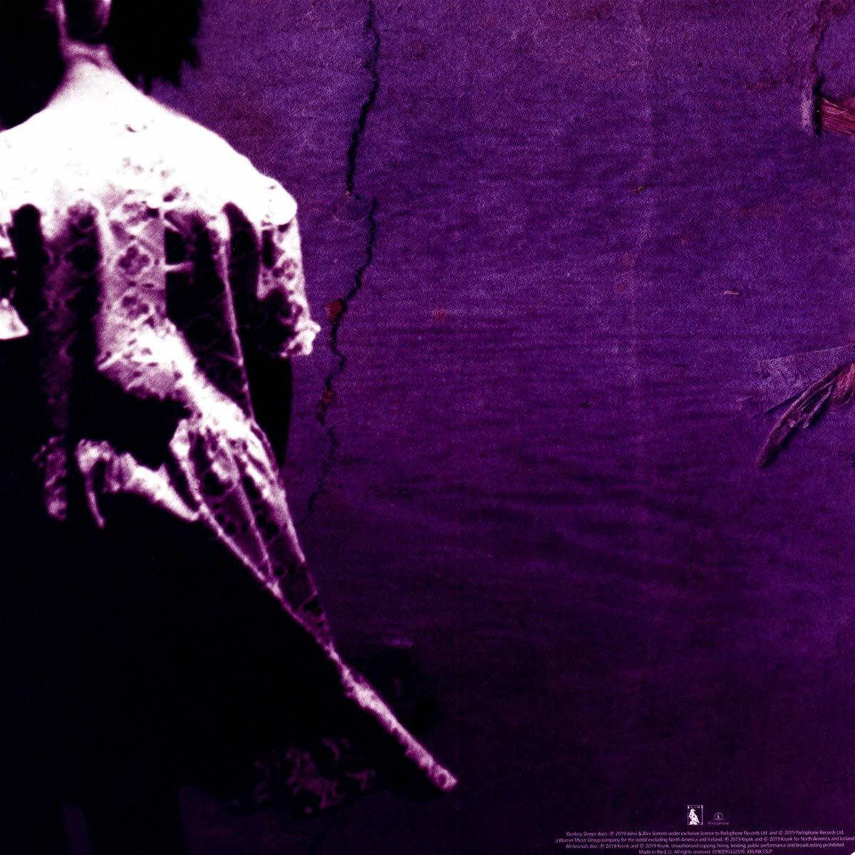 Jónsi & Alex Somers - Riceboy Sleeps (Remaster)  - (Vinyl)