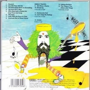 Albumcover-Kunst mit einer cartoonartigen Figur. Ein bärtiger Mann mit grünen Haaren und einem gelben Herzen.