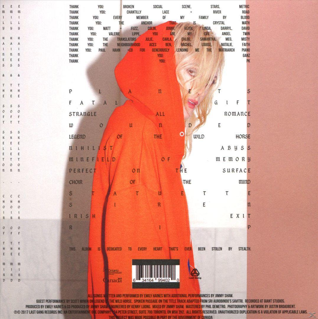 Albumcover mit einer Person in orangefarbenem Kapuzenpullover, umgeben von Text.