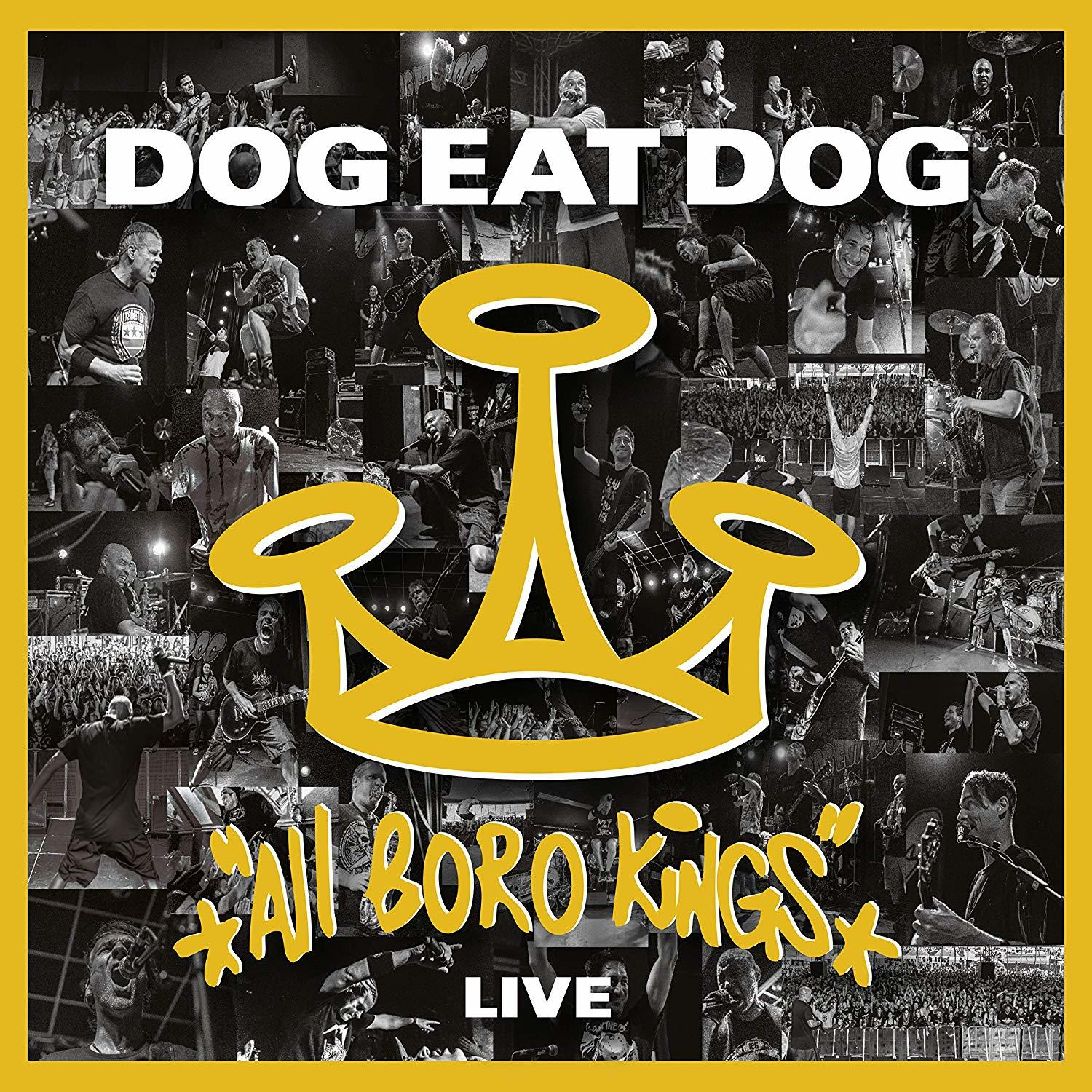 Album borító Dog Eat Dog logóval és élő koncertfotókkal. Sárga háttér.