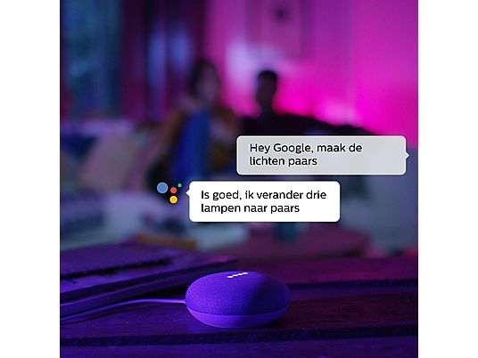 GOOGLE NEST Nest Mini en Philips Hue E27-lamp