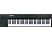 ALESIS VI61 - USB/MIDI Keyboard Controller (Schwarz/Weiss)