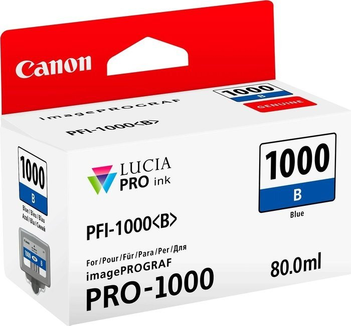 Eine Canon-Tintenpatronenbox mit der Aufschrift 'PRO-1000' und 'Blau'.