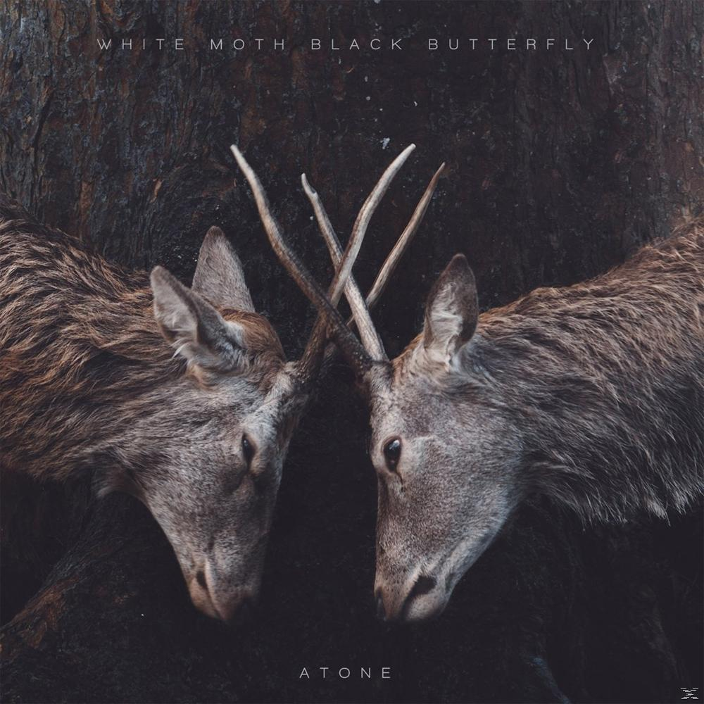 White Moth Black Butterfly - Atone  - (Vinyl)