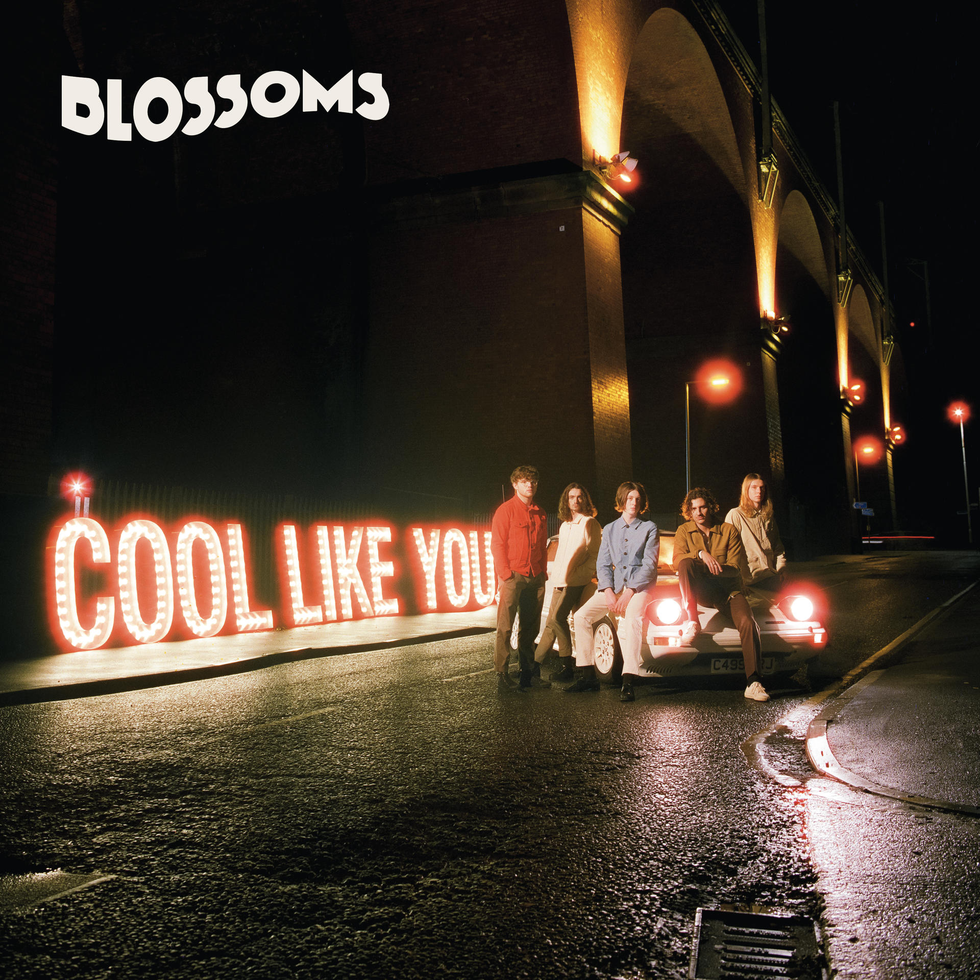 The Blossoms - Cool Like You (Deluxe Edt.)  - (CD)