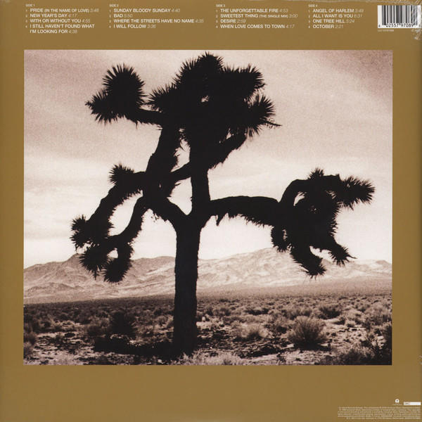 Pochette d'album. Silhouette d'un arbre sur un paysage désertique. Texte en bas. Fond marron.