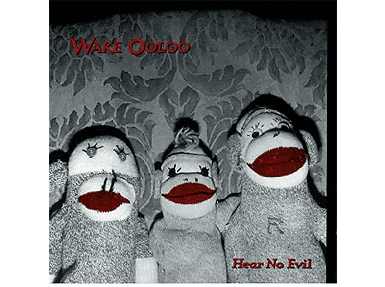 Wake Ooloo - hear no (Vinyl) - evil