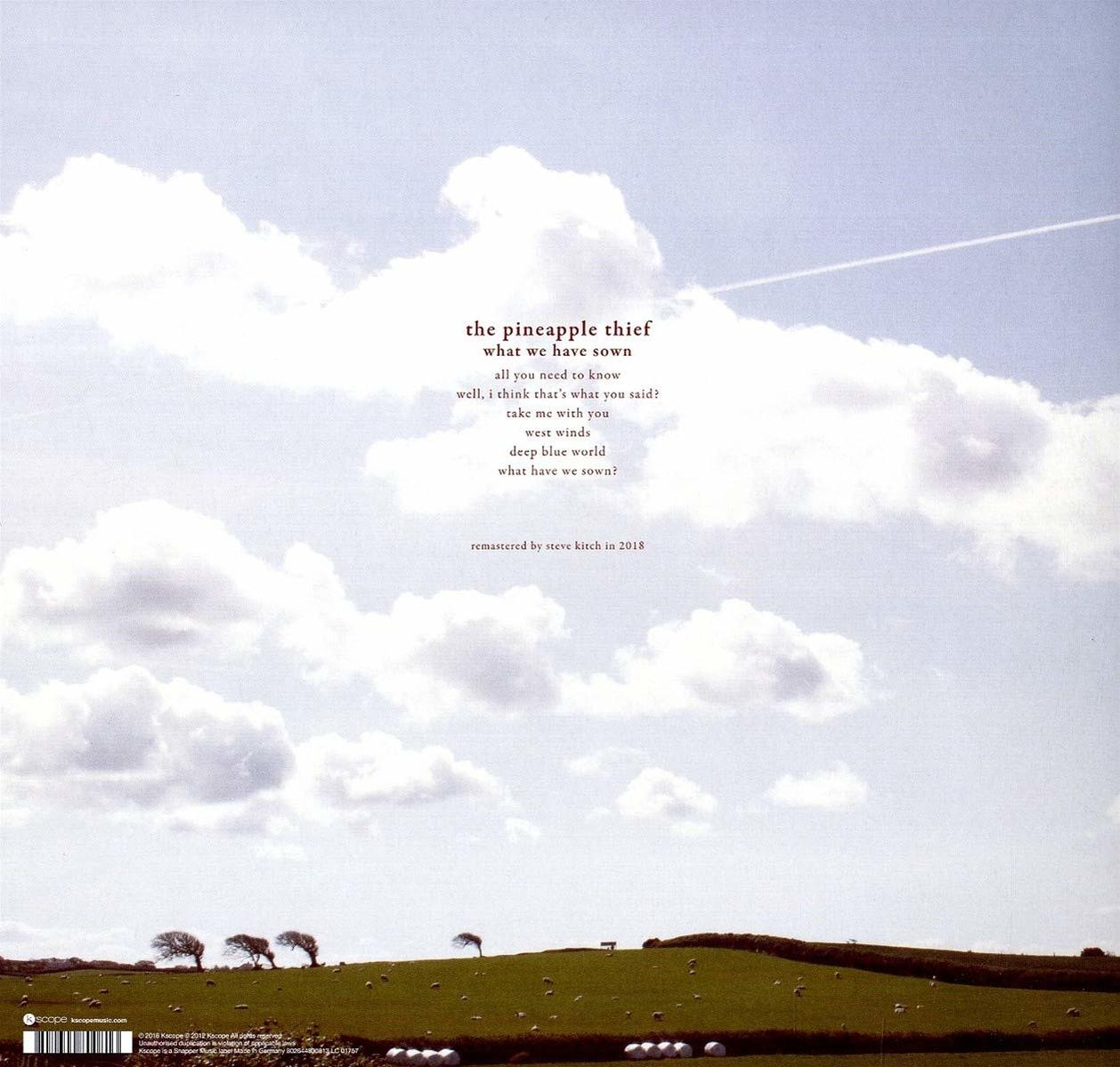 Albumcover mit weißen Wolken, grünen Feldern und Text vom Pineapple Thief.