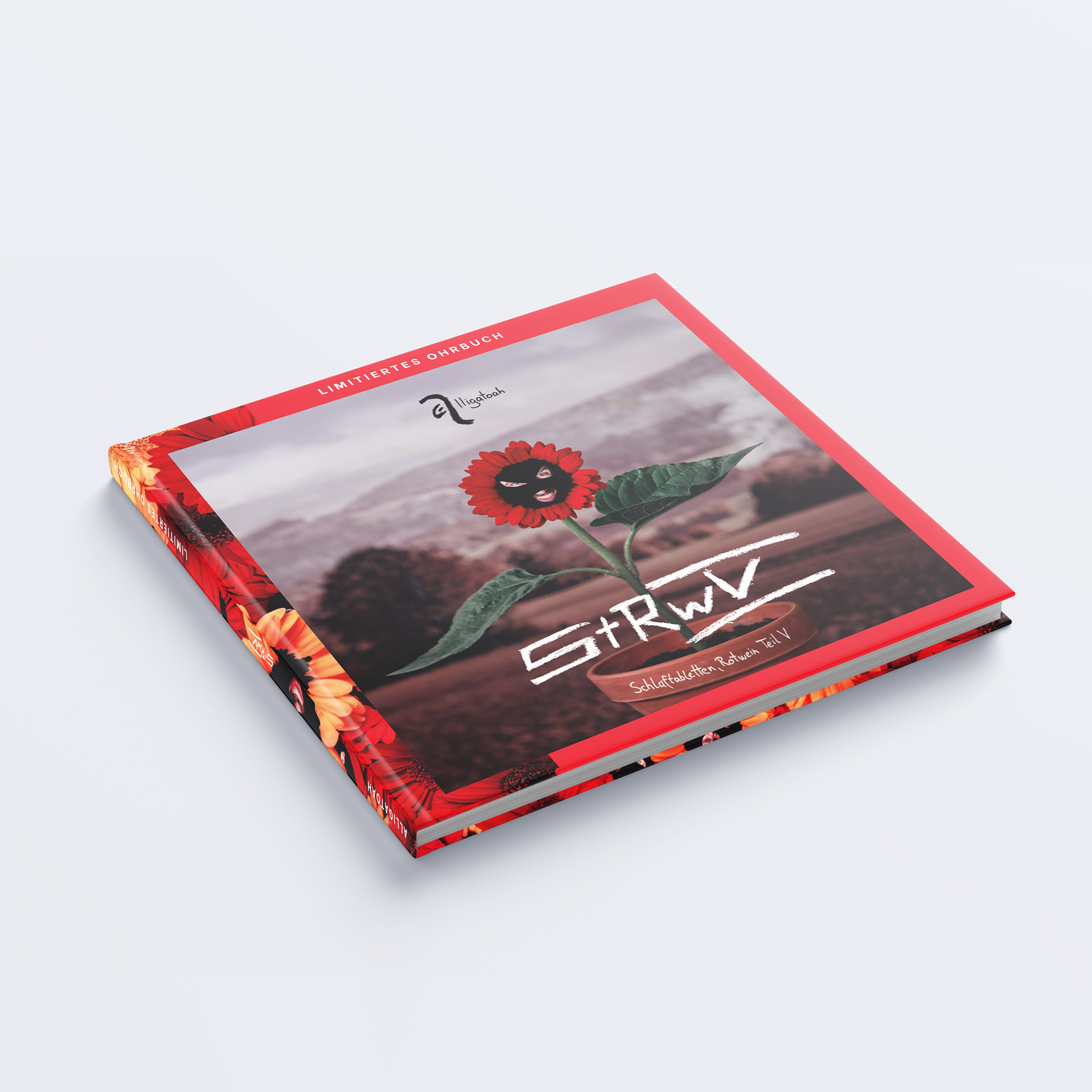 Buchcover mit Sonnenblume im Topf, roter Rahmen. Titel 'S+RW' auf dem Cover.