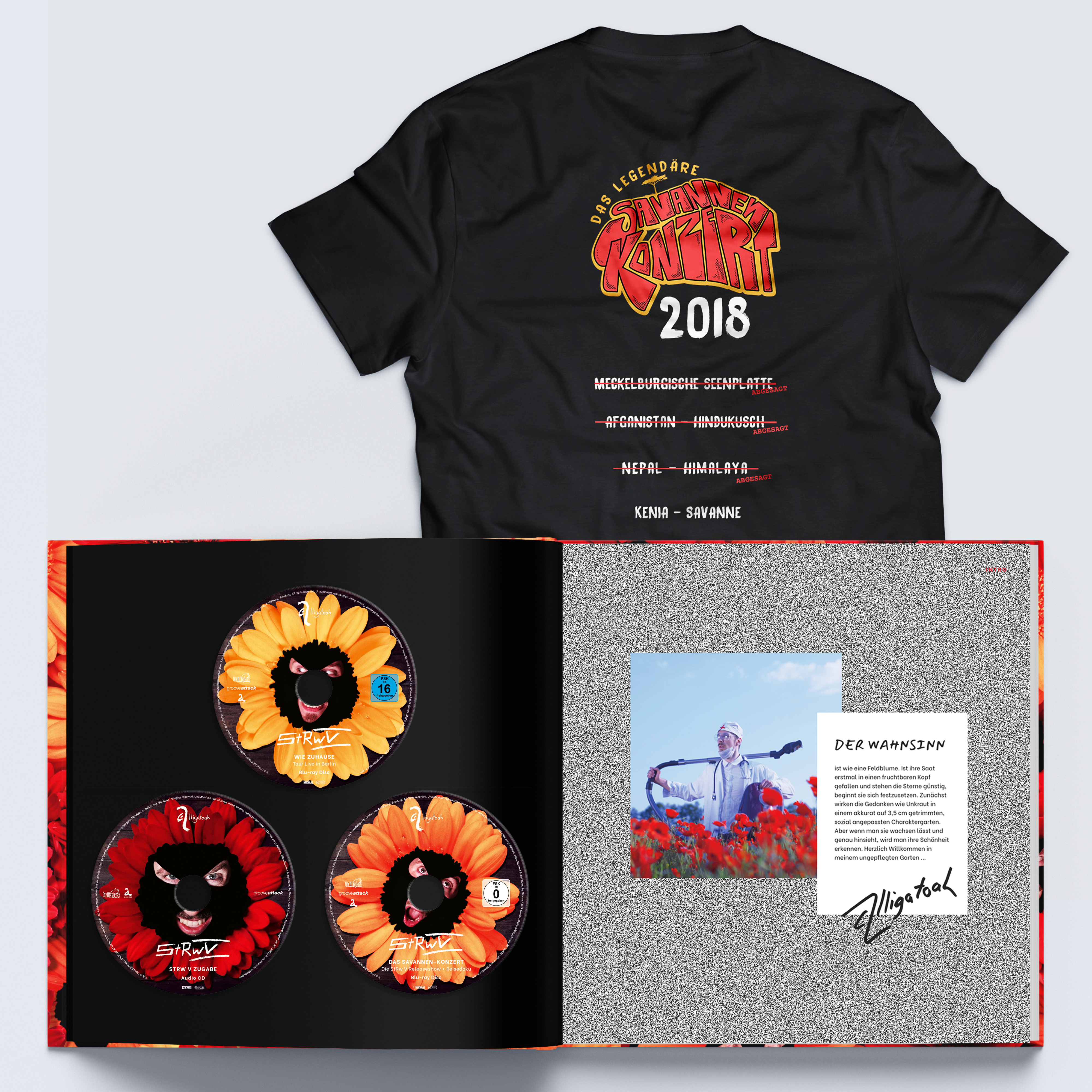 Offenes Buch mit CD-Hüllen, T-Shirt und Text. Die CDs haben Sonnenblumenbilder.