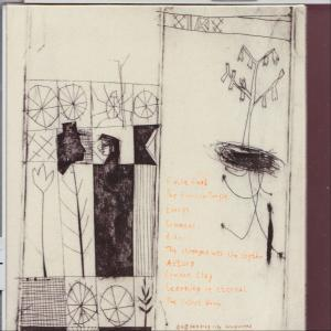 Alasdair Roberts - FIERY MARGIN  - (CD)