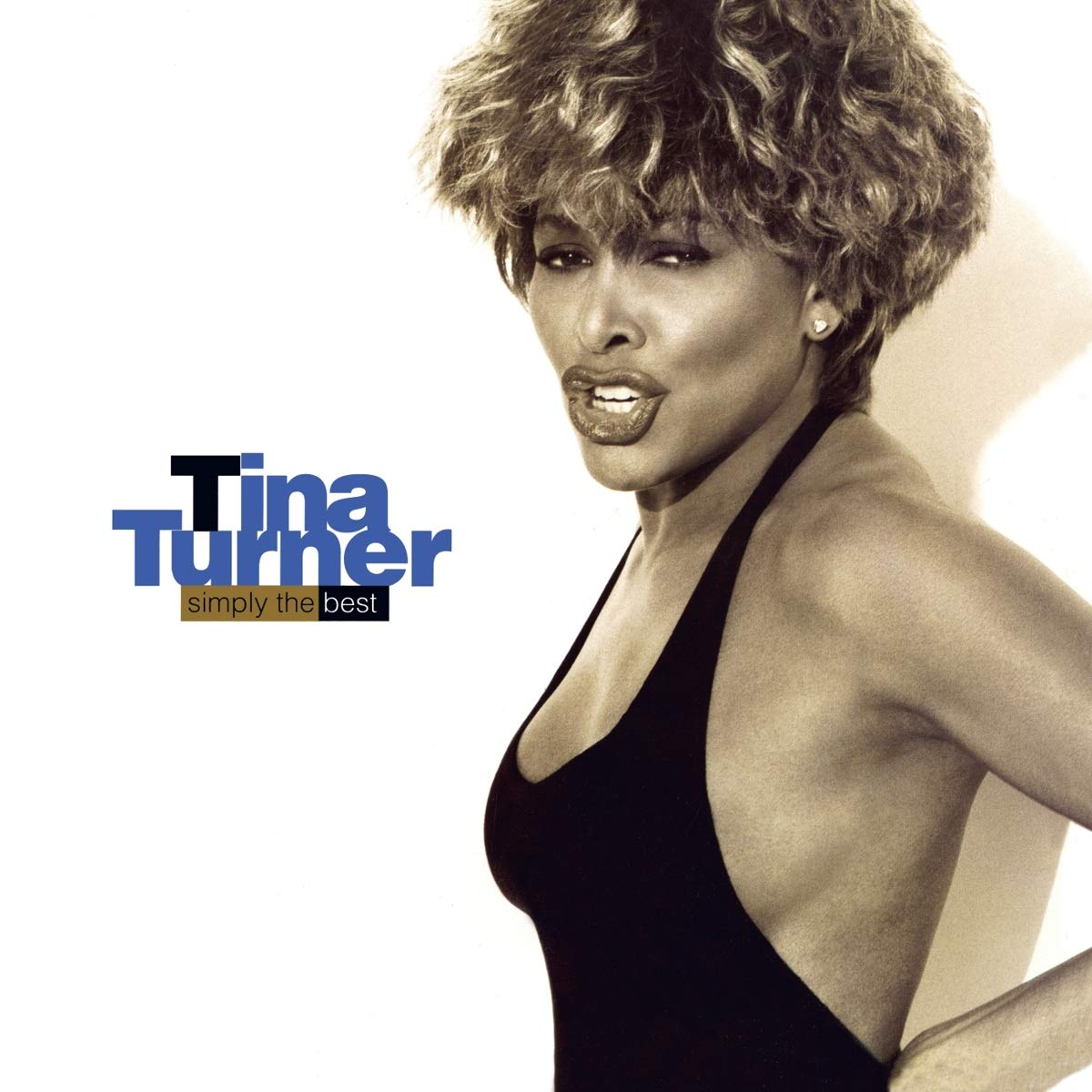 Tina Turner - Simply The Best (Vinyl LP (nagylemez))