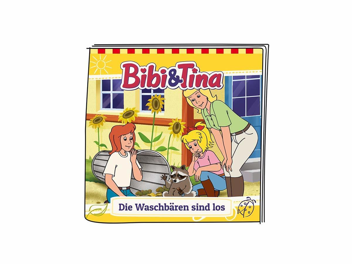Buchcover. Zwei Mädchen und ein Waschbär, mit einem Haus und Sonnenblumen im Hintergrund. Deutscher Text.