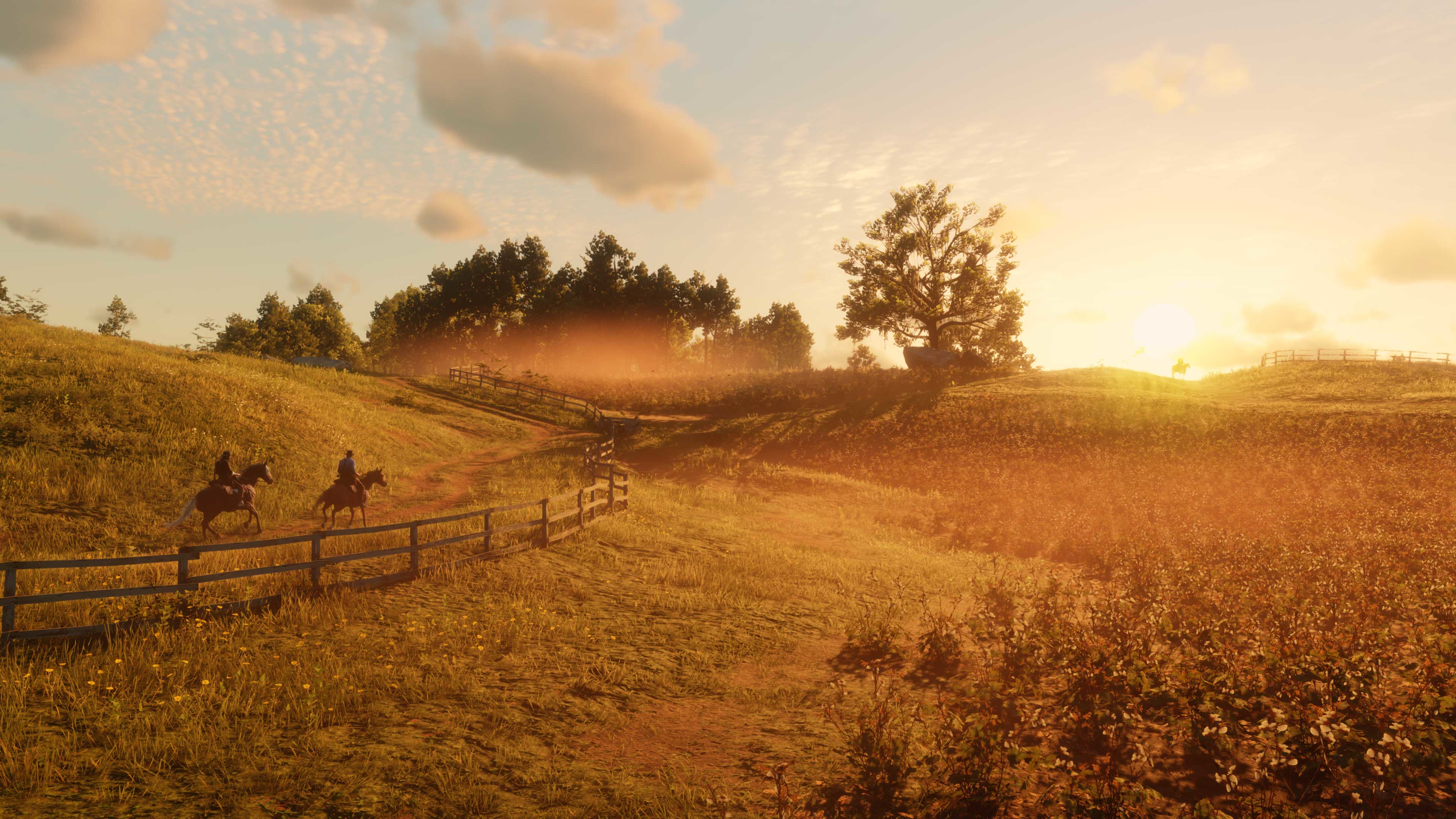 Red Dead Redemption II - PC - Français