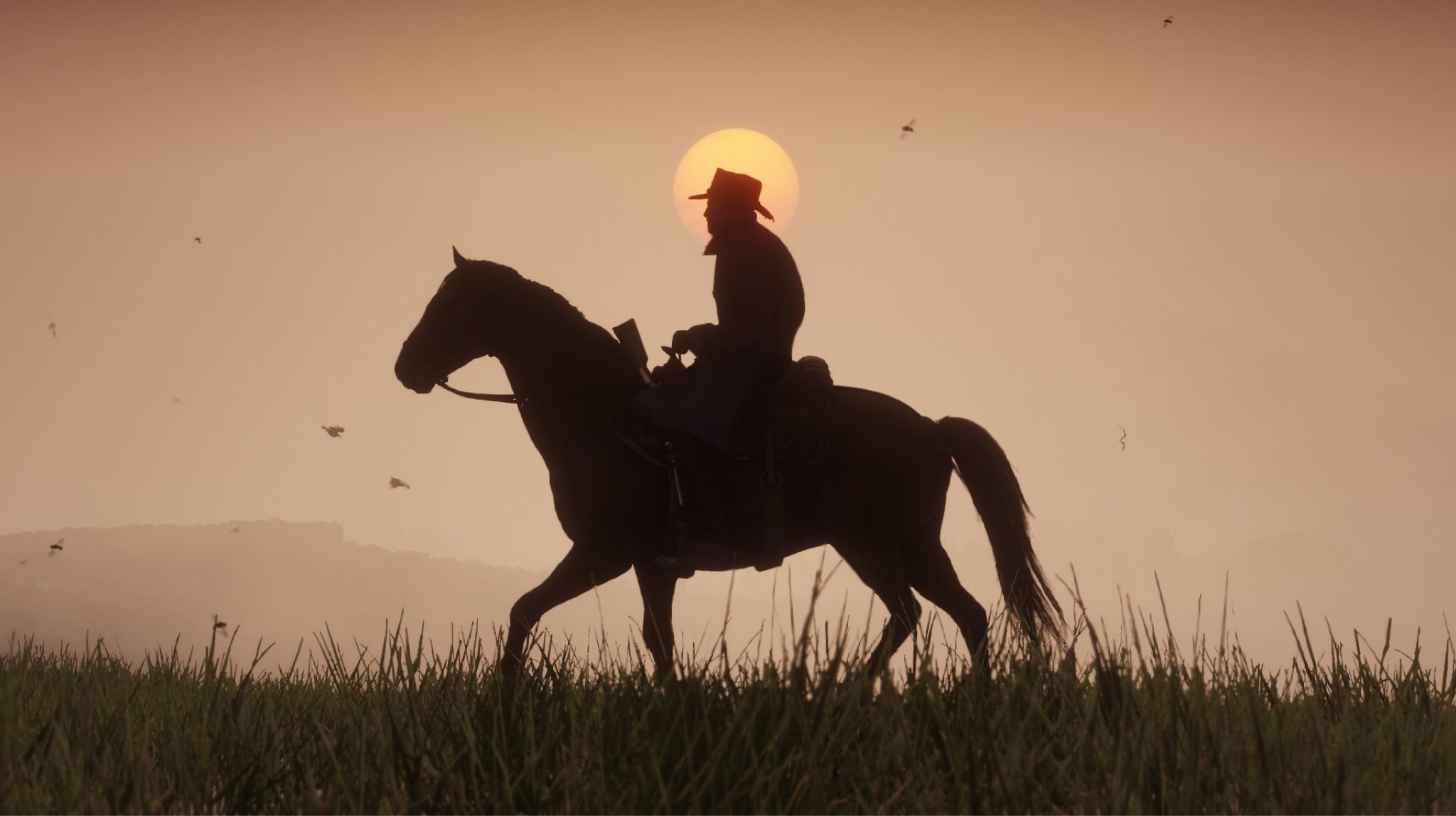 Red Dead Redemption II - PC - Français