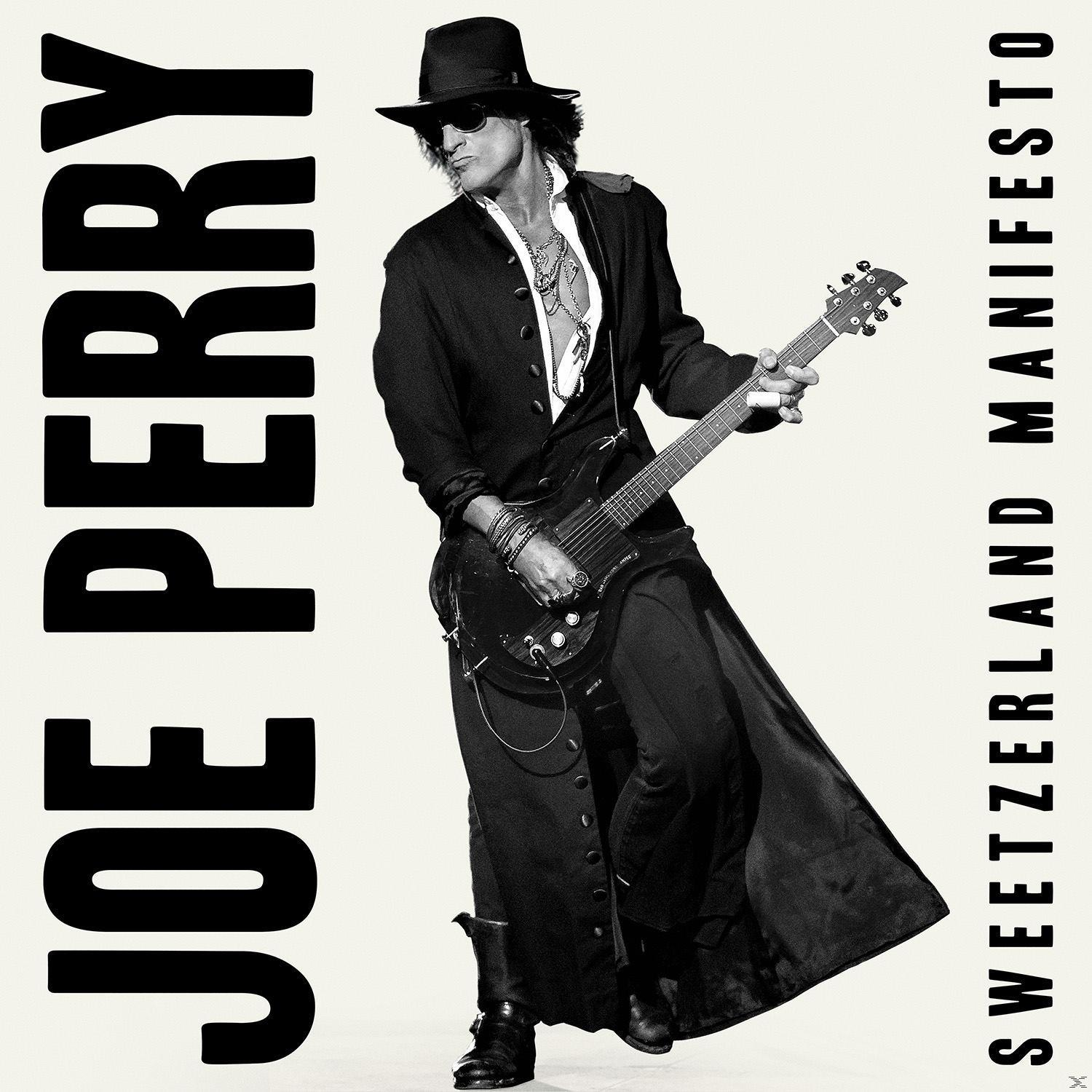 Albumhoes van Joe Perry, met een hoed, zonnebril en een gitaar. De achtergrond is wit.