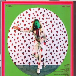 Ty Segall - First Taste  - (CD)