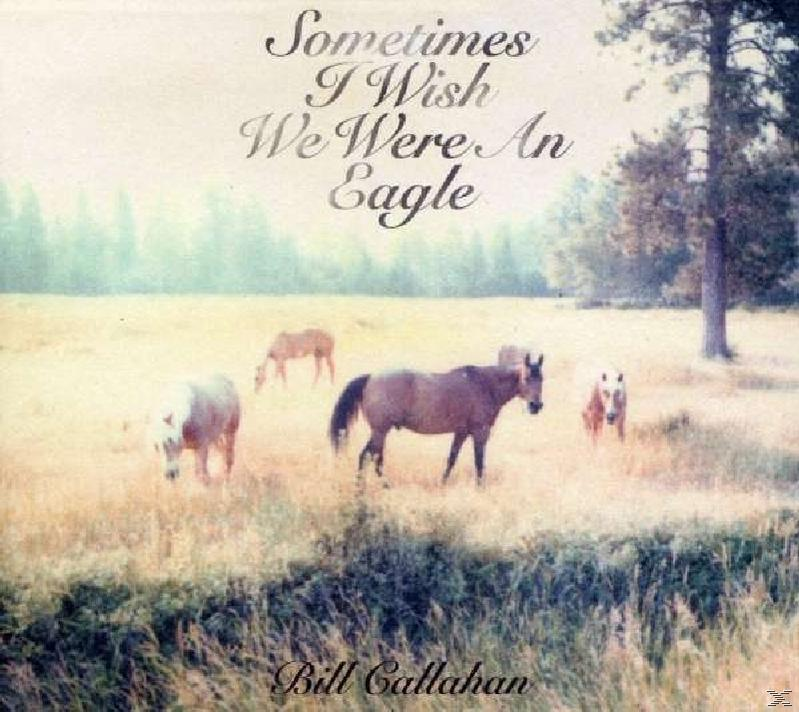 Albumcover mit Pferden auf einem Feld. Text: "Sometimes I Wish We Were An Eagle".