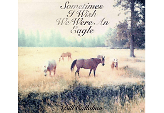 Bill Callahan - Sometimes I Wish We Were An Eagle  - (CD)