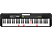 CASIO LK-S250 - Clavier musique (Noir)