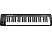 ALESIS Q49 - MIDI/USB Keyboard Controller (Schwarz)