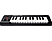 ALESIS Q25 - Contrôleur clavier MIDI/USB (Noir)