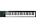 ALESIS V61 - MIDI/USB Keyboard Controller (Schwarz)