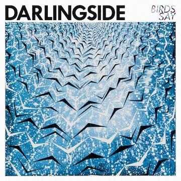 Darlingside - BIRDS SAY - (Vinyl)