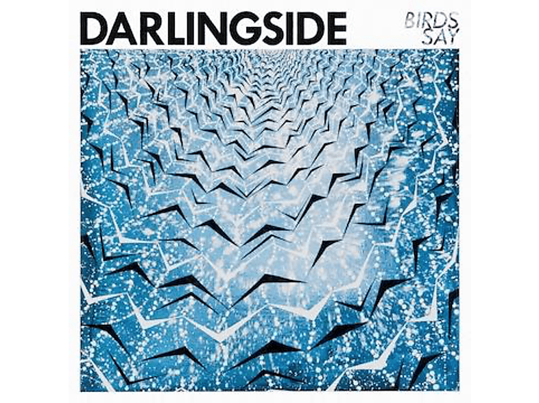 SAY - Darlingside - (Vinyl) BIRDS