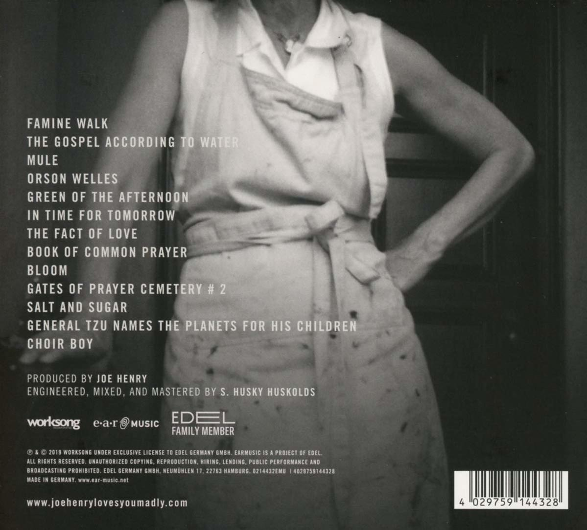 Rückseite eines Albums mit einer Liste von Songtexten und dem Namen des Künstlers.