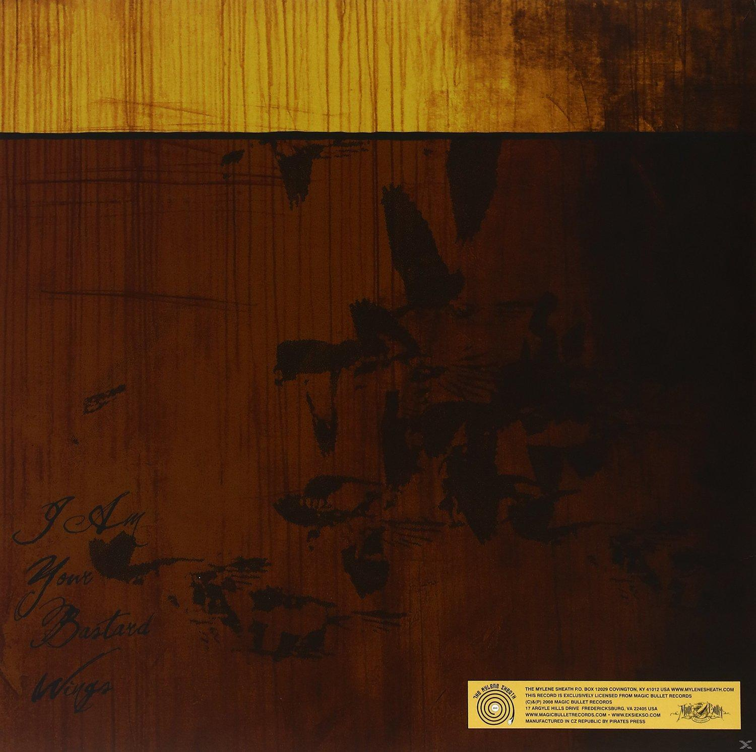 Albumcover mit dunklen Farben. Es zeigt Text und abstrakte Bilder mit goldenem Rand.