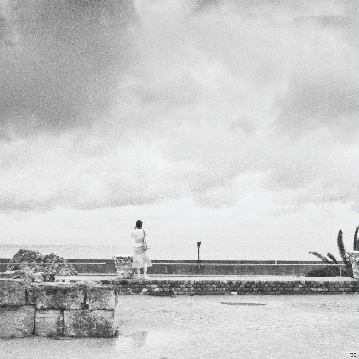 Ein Graustufenfoto einer Frau, die auf einer Steinmauer steht und unter einem bewölkten Himmel aufs Meer blickt.