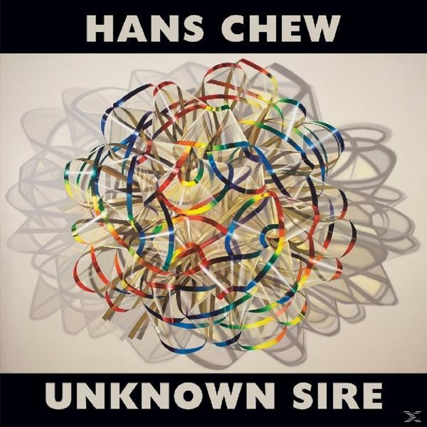 Abstrakte Kunst, mehrfarbige Bänder, schwarzer Text: HANS CHEW, UNKNOWN SIRE.