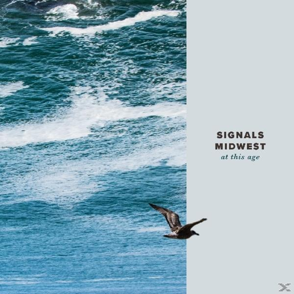 Albumcover mit Wellen links und einer fliegenden Möwe. Text lautet 'Signals Midwest at this age'.