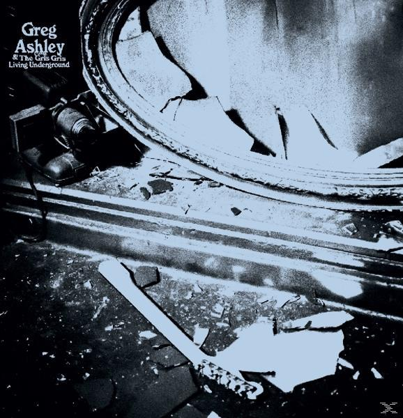 Albumcover: ein zerbrochener Spiegel, metallische Oberflächen und Text: 'Greg Ashley & The Gris Gris'.