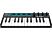 ALESIS V-Mini - Contrôleur clavier (Noir)